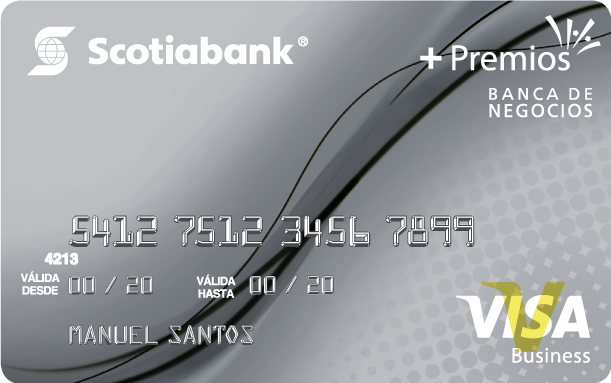 Visa Banca E Negocios